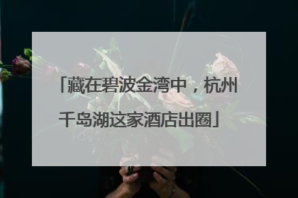 藏在碧波金湾中，杭州千岛湖这家酒店出圈